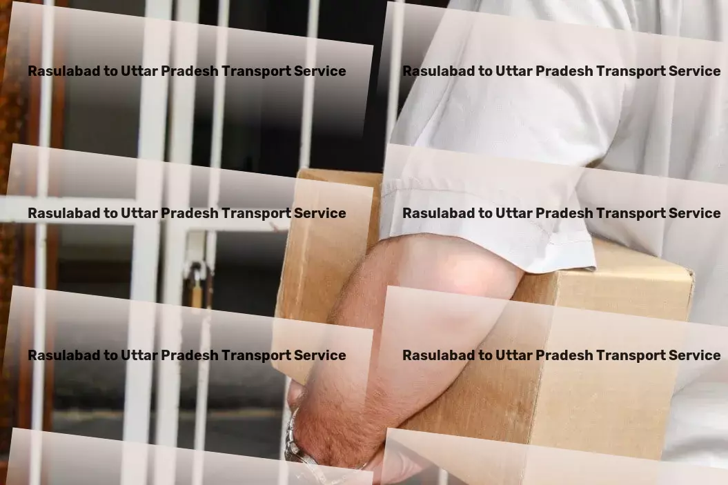 Rasulabad to Uttar Pradesh Transport Custom freight solutions