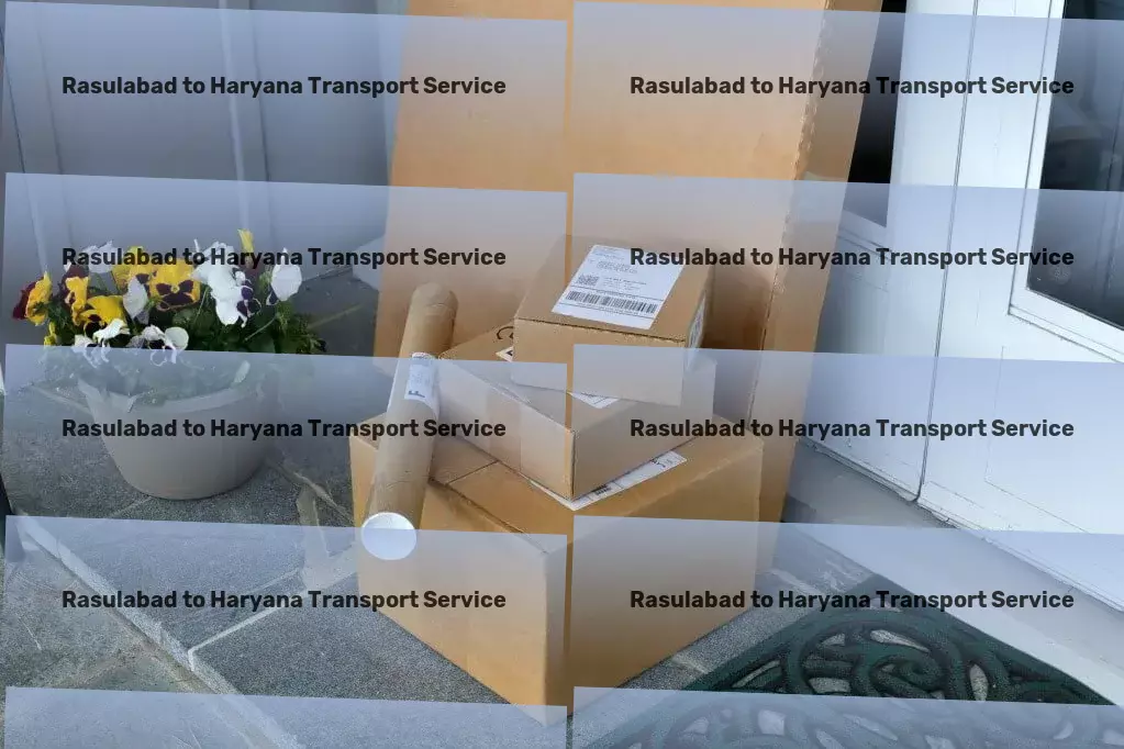 Rasulabad to Haryana Transport Efficient courier services