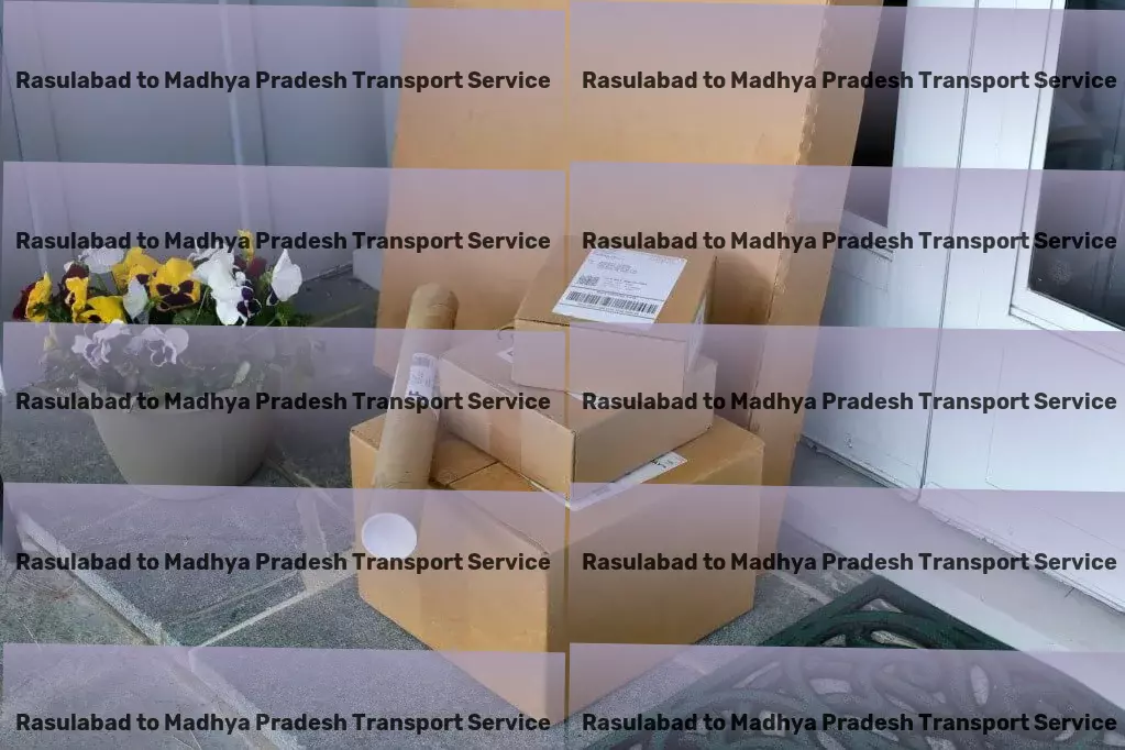 Rasulabad to Madhya Pradesh Transport Comprehensive transport logistics