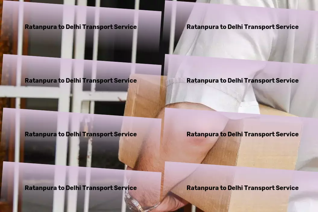 Ratanpura to Delhi Transport Furniture transport solutions