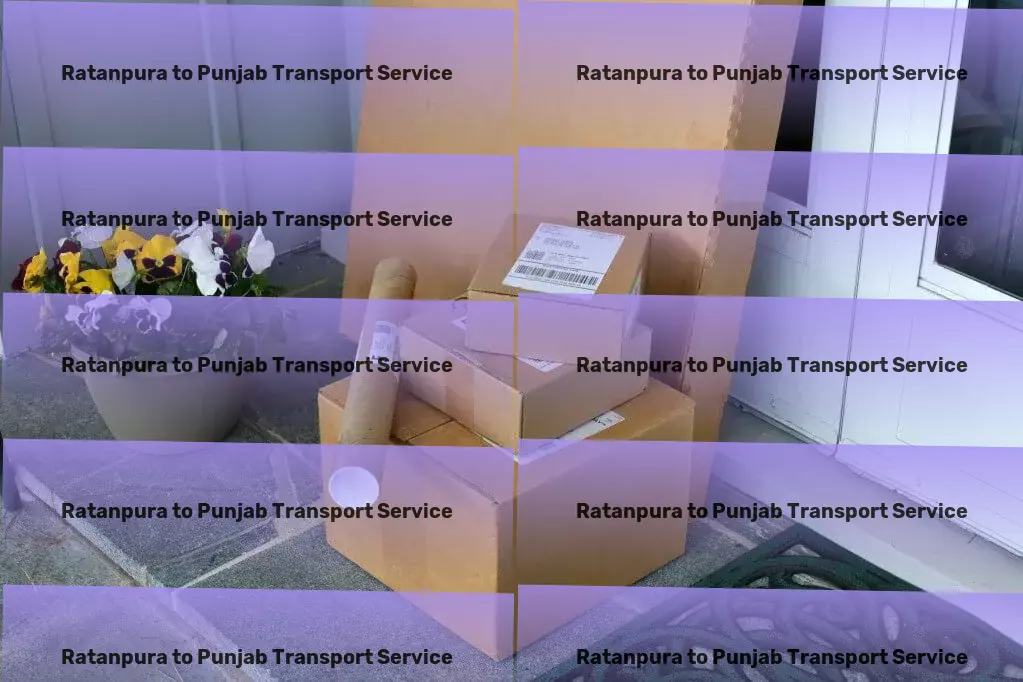 Ratanpura to Punjab Transport Nationwide transport operations