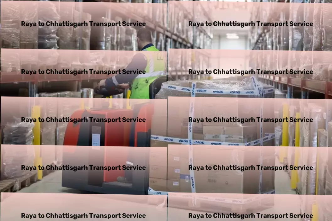 Raya to Chhattisgarh Transport Specialized goods delivery