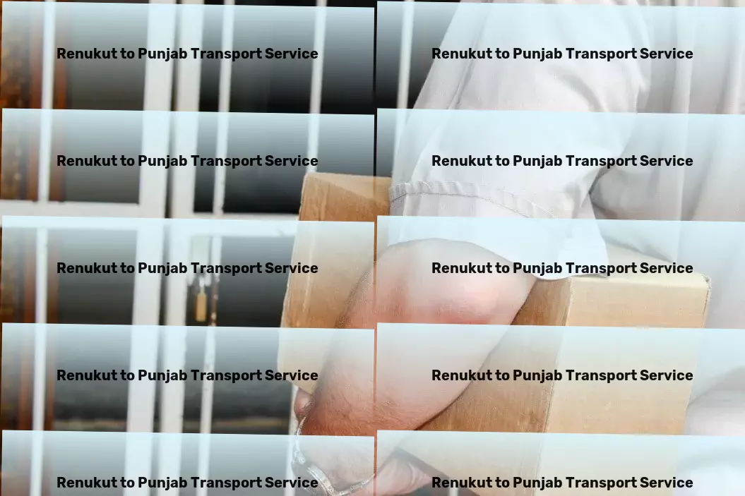 Renukut to Punjab Transport Specialized package shipment