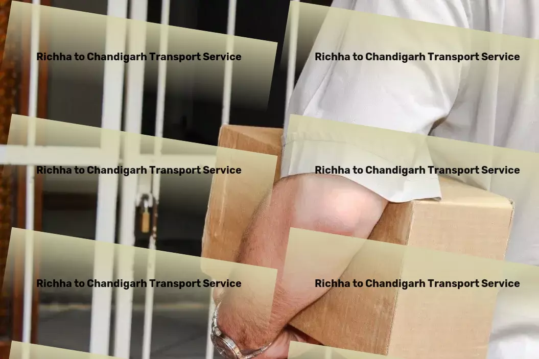 Richha to Chandigarh Transport Cargo transit services