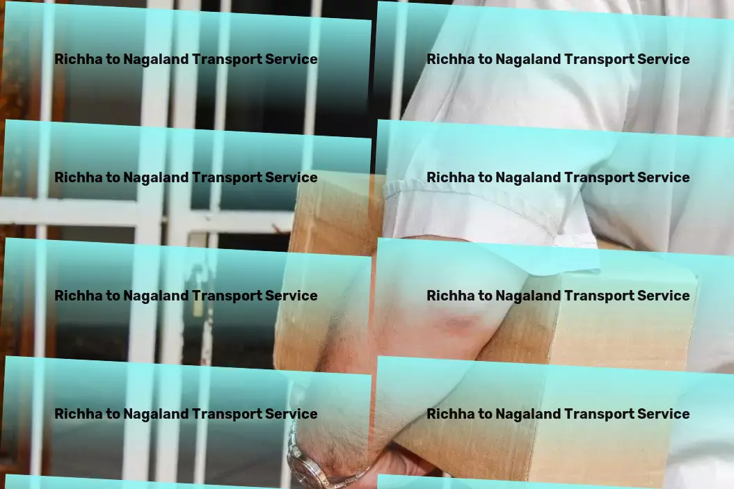 Richha to Nagaland Transport Stay connected while exploring off-the-grid destinations! - National transport solutions