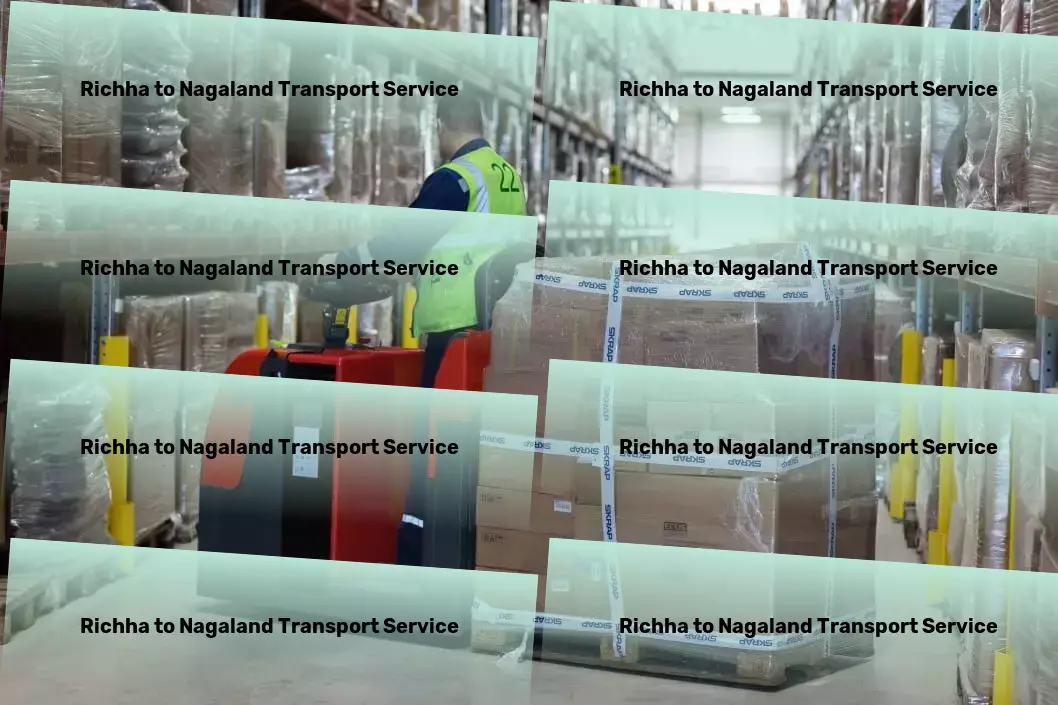 Richha to Nagaland Transport Professional moving services