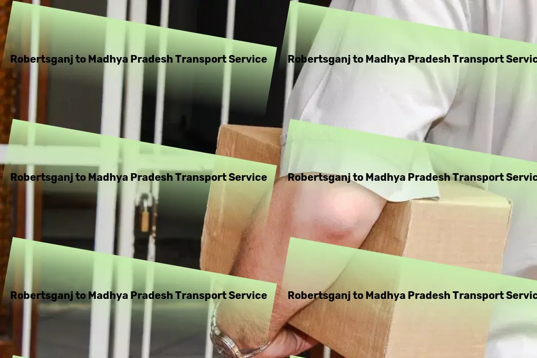 Robertsganj to Madhya Pradesh Transport Efficient cargo services