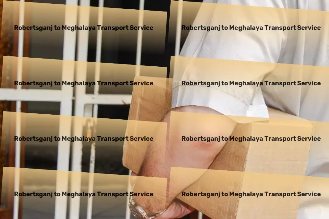 Robertsganj to Meghalaya Transport Optimize your shipping strategy with our insights and experience! - Freight parcel services