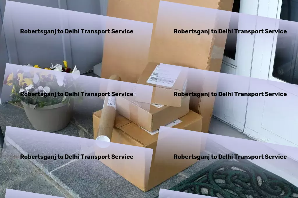 Robertsganj to Delhi Transport Specialized goods operations