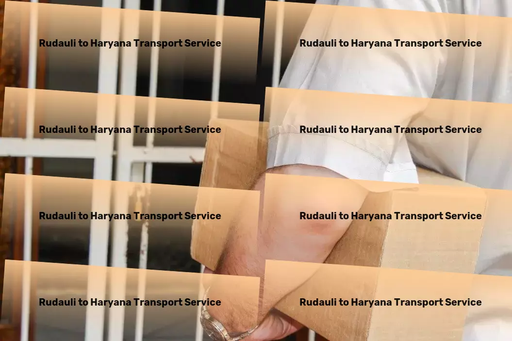 Rudauli to Haryana Transport Flexible shipping options