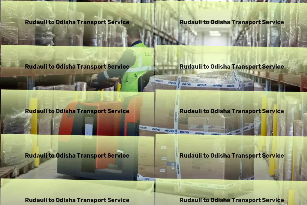 Rudauli to Odisha Transport Custom freight services