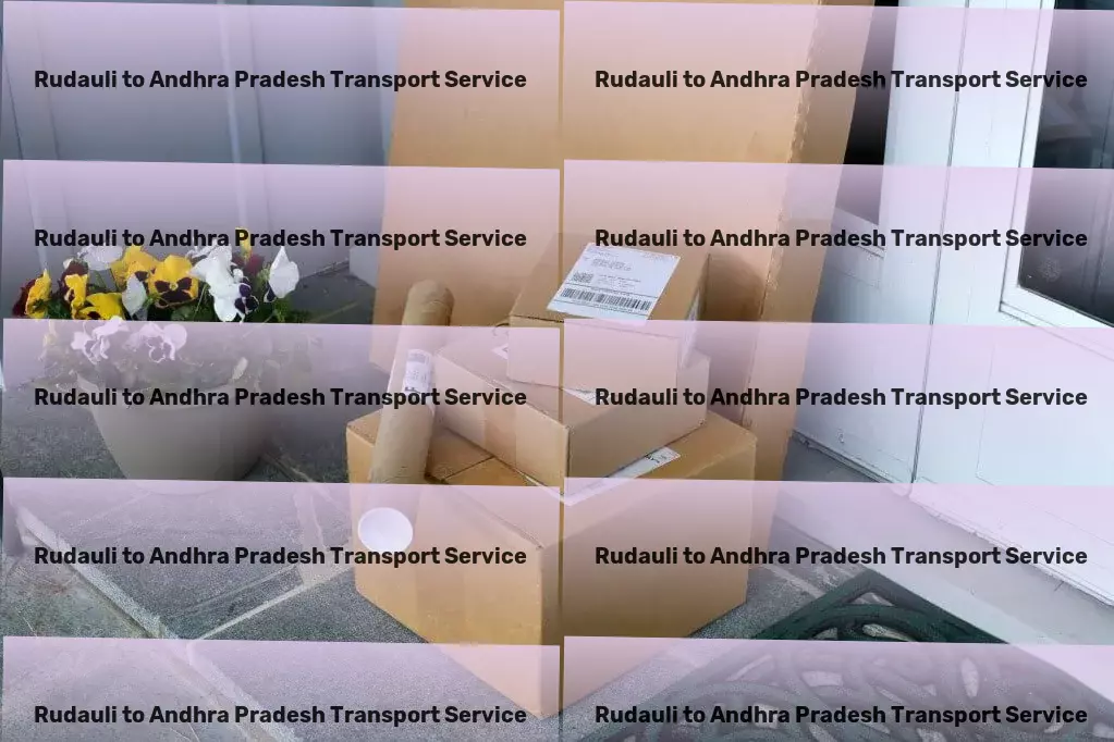 Rudauli to Andhra Pradesh Transport Specialized package shipment