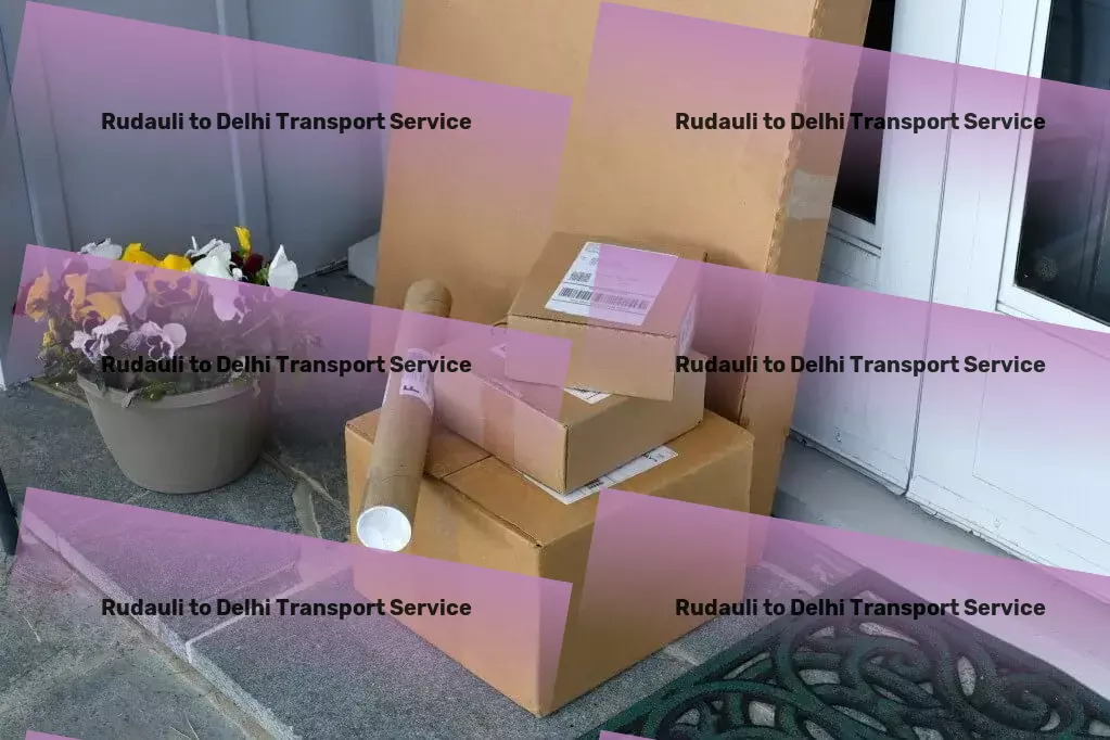 Rudauli to Delhi Transport Citywide freight logistics