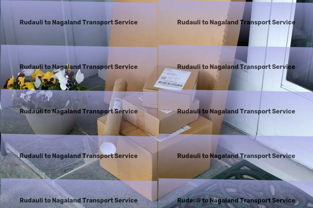 Rudauli to Nagaland Transport Dedicated bulk delivery