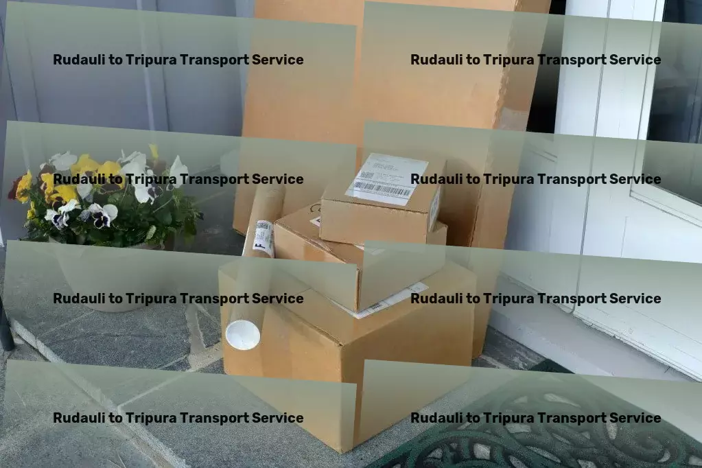 Rudauli to Tripura Transport Furniture relocation services