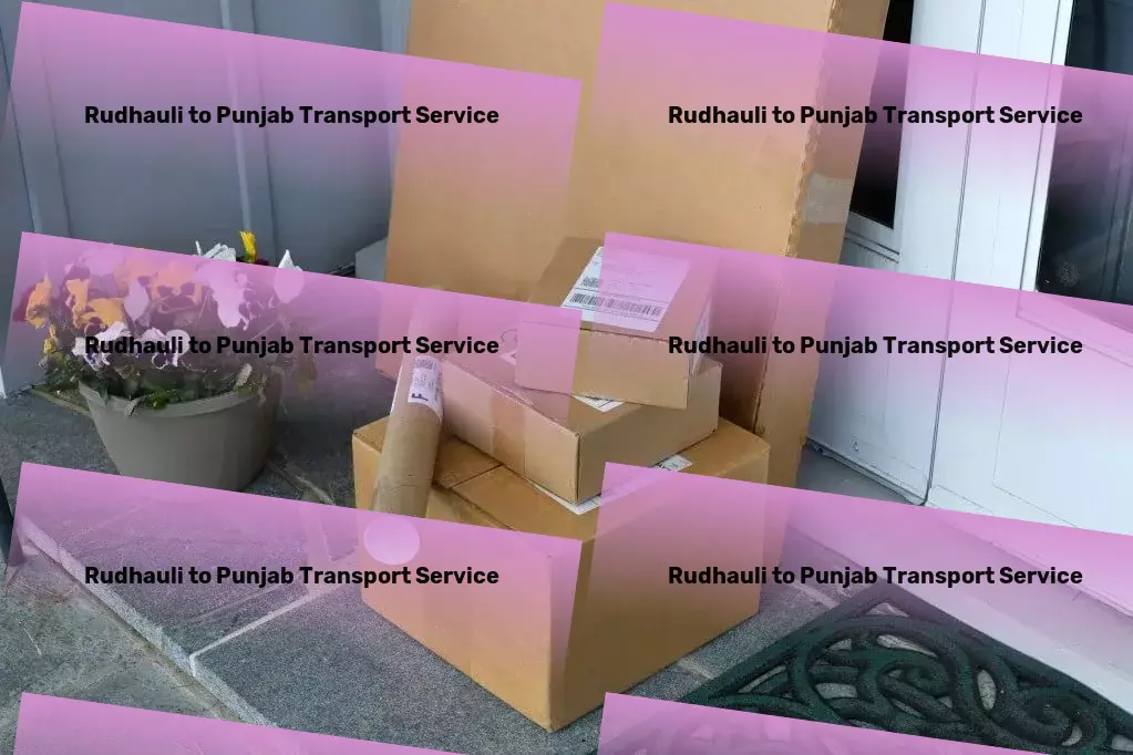 Rudhauli to Punjab Transport Express household moving