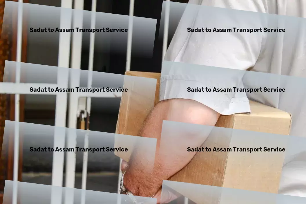 Sadat to Assam Transport Streamlined transport solutions for a dynamic Indian market! - Advanced parcel delivery