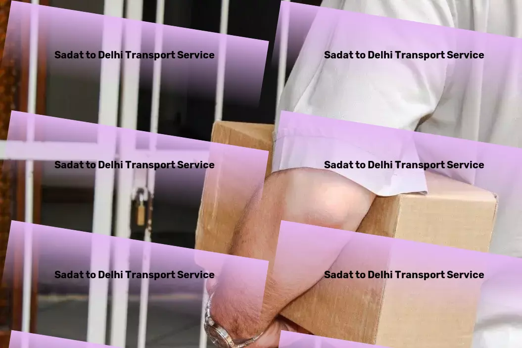 Sadat to Delhi Transport International freight logistics